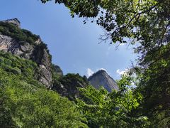 -青峰峡国家森林公园