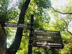 -鼓浪屿钢琴博物馆