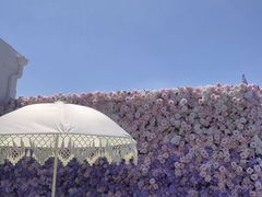 -莫子山公园