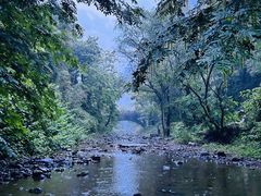-雁荡山风景名胜区