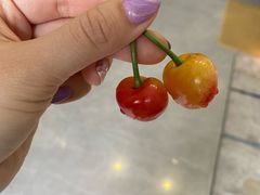 -菊园百果园