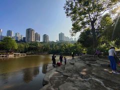 -龙头寺公园