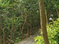 -荔枝公园-小平画像广场