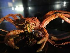 -同济大学四平路校区深海探索馆