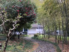 -兰亭风景区