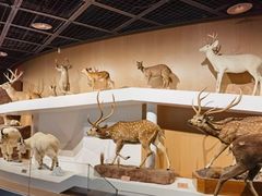 -陕西自然博物馆