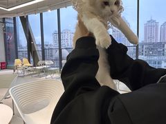 -怪兽屋·羊驼·猫咖·狗咖(俊华广场店)