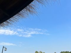 -径山花海
