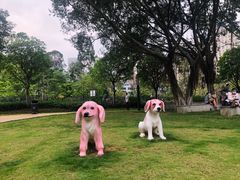 -景田北六街公园宠物主题园