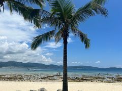 -三亚太阳湾柏悦酒店