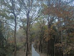 -冶父山国家森林公园