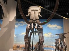 -国家自然博物馆