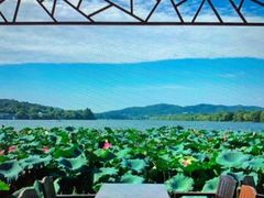 -西湖外事游船(花港观鱼码头)