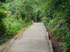 -青龙山国家森林公园