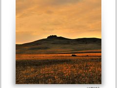 -塞罕坝国家级自然保护区