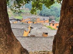-杨家堂村