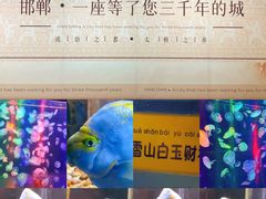 -邯郸海洋世界