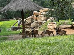 -北京野生动物园