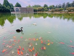 -春晖园度假酒店温泉