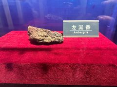 -刘公岛景区