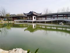 -上海滨江森林公园
