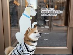-沈阳铁西万象汇