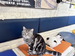 -平行世界·猫咖(首经贸店)