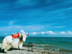 -青海湖国家重点风景名胜区