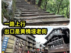 -南山植物园