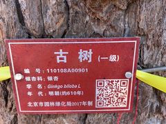 -龙泉寺