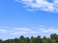 -尚湖风景区