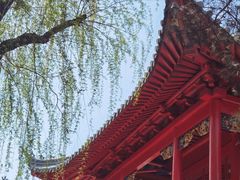 -哈尔滨极乐寺