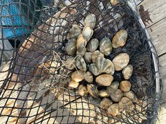 -海上驿站渔家菜馆