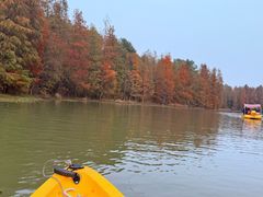 -上海海湾国家森林公园