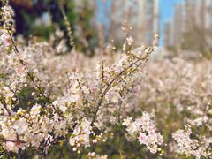 -白塘生态植物园