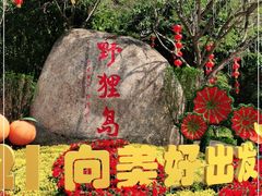 -野狸岛