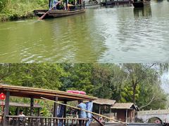 -溱湖国家湿地公园