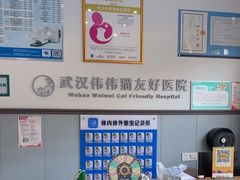 -伟伟宠物医院·瑞派猫友好医院·猫科(光谷店)