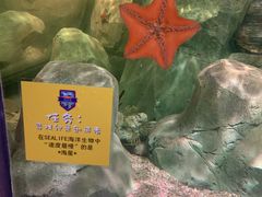 -沈阳海洋探索中心