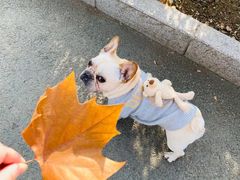 -滨河世纪广场公园