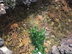-綱元·海鲜豆捞(明州里店)