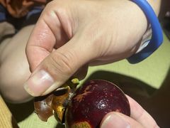 -东吴水韵(吴中店)