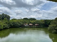 -广州长隆野生动物世界