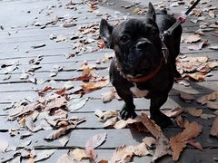 -宠颐生动物医院·心脏科·保险定点(锦阳分院)