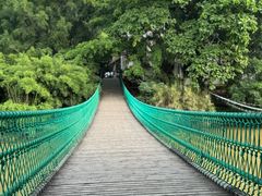 -南宁良凤江国家森林公园