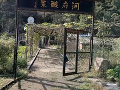 -高尔山公园