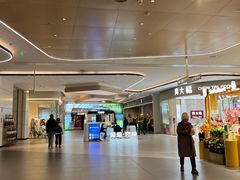 -合景·悠方(成都店)