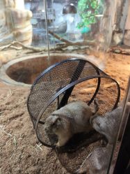 -Zoolung Zoolung动物主题公园(海信广场店)