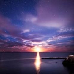 -薇兰专业脱毛连锁机构