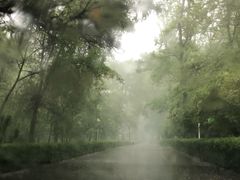 -顺鑫绿色度假村